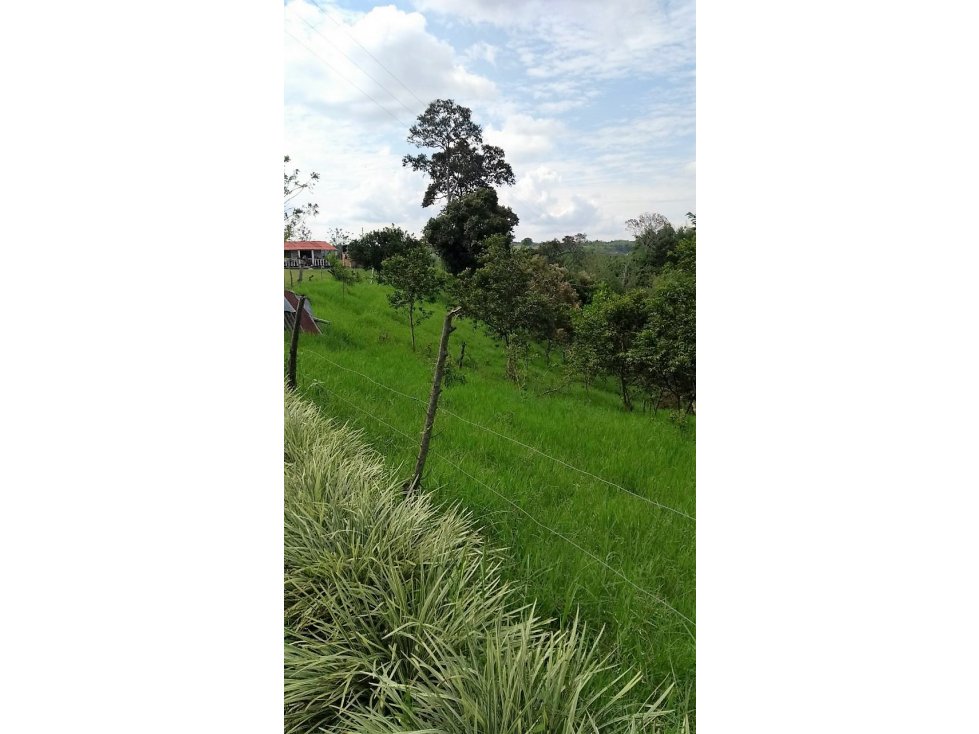 Lote en venta en la Tebaida 5418 - 2