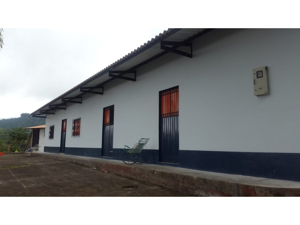 Finca aguacate Tolima Mariquita 90499-0 - 3
