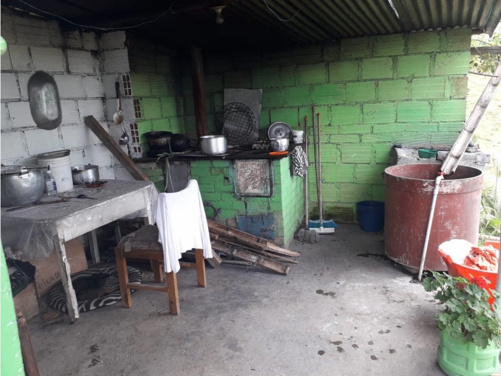 Finca venta Plátano y Cafe Circasia Quindio 4647 — foto 6