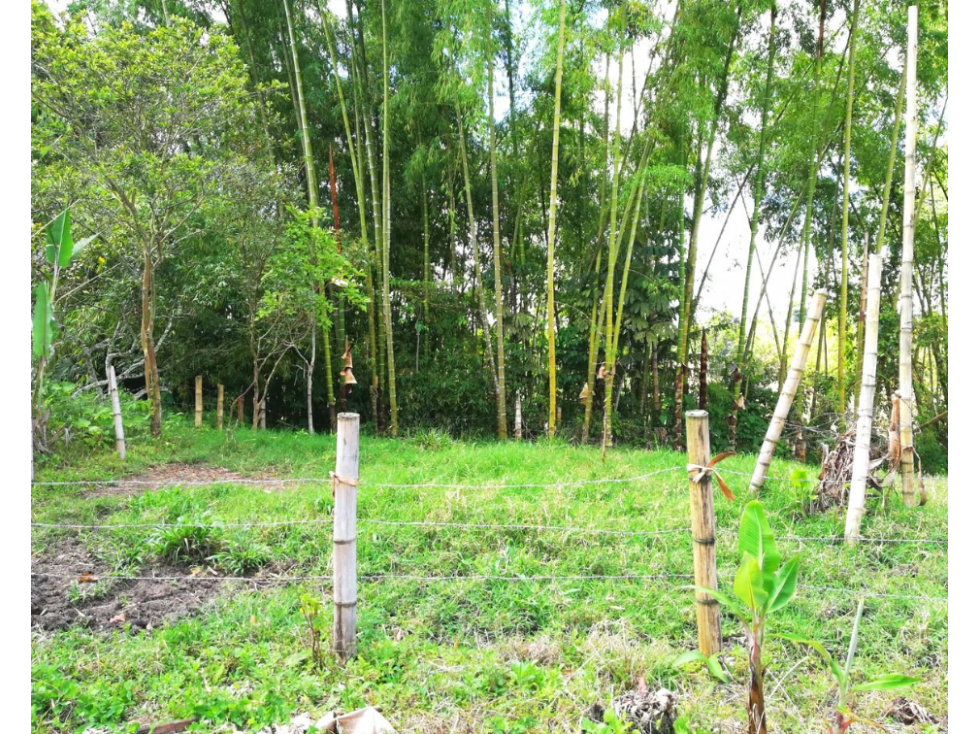 FINCA EN PASTO , SIRVE PARA PLATANO Y CAFÉ EN VENTA 4830 — foto 3