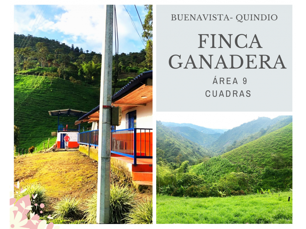 VEN- PERMUTO FINCA BUENAVISTA 4880 - 1