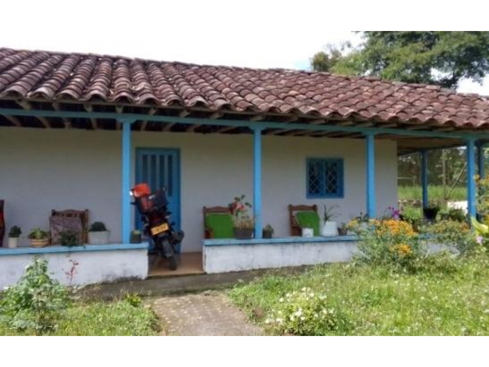 FINCA UBICADA EN CIRCASIA QUINDIO — foto 2