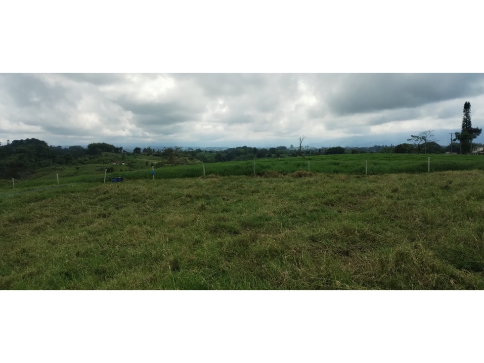 Finca productiva a 15 minutos de Circasia en excelente ubicación — foto 6