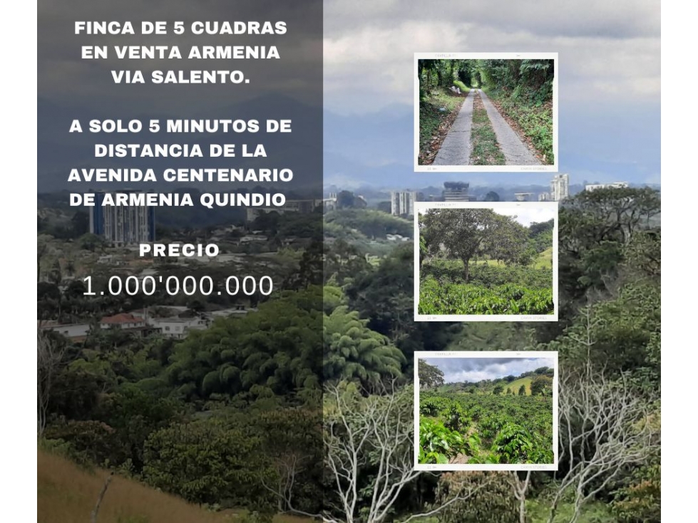 Finca en venta a solo 5 minutos de la avenida centenario armenia