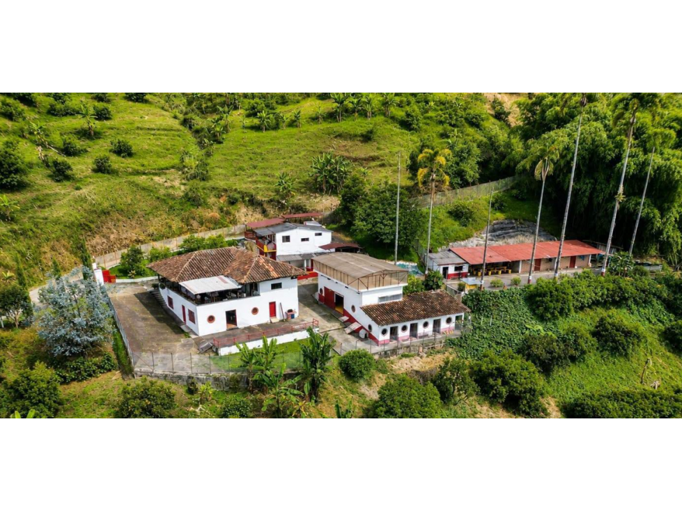 Finca cafetera tecnificada en Colombia pereira