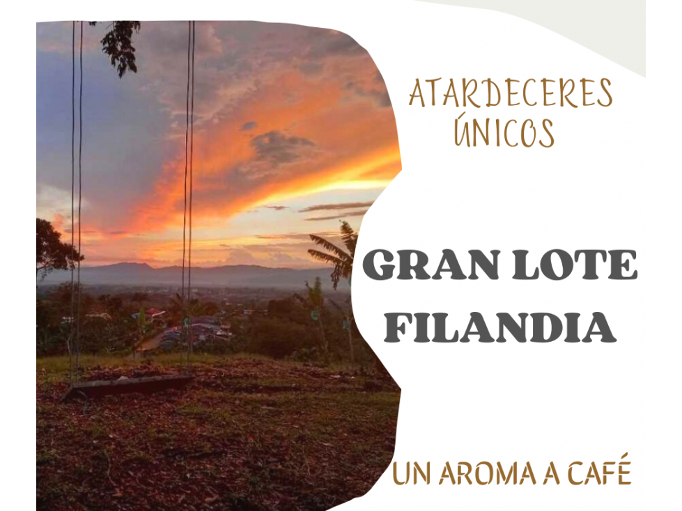 LOTE EN FILANDIA - 1