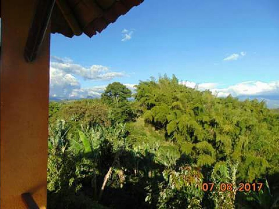Finca - Chalet en venta via Quimbaya 4517 - 6