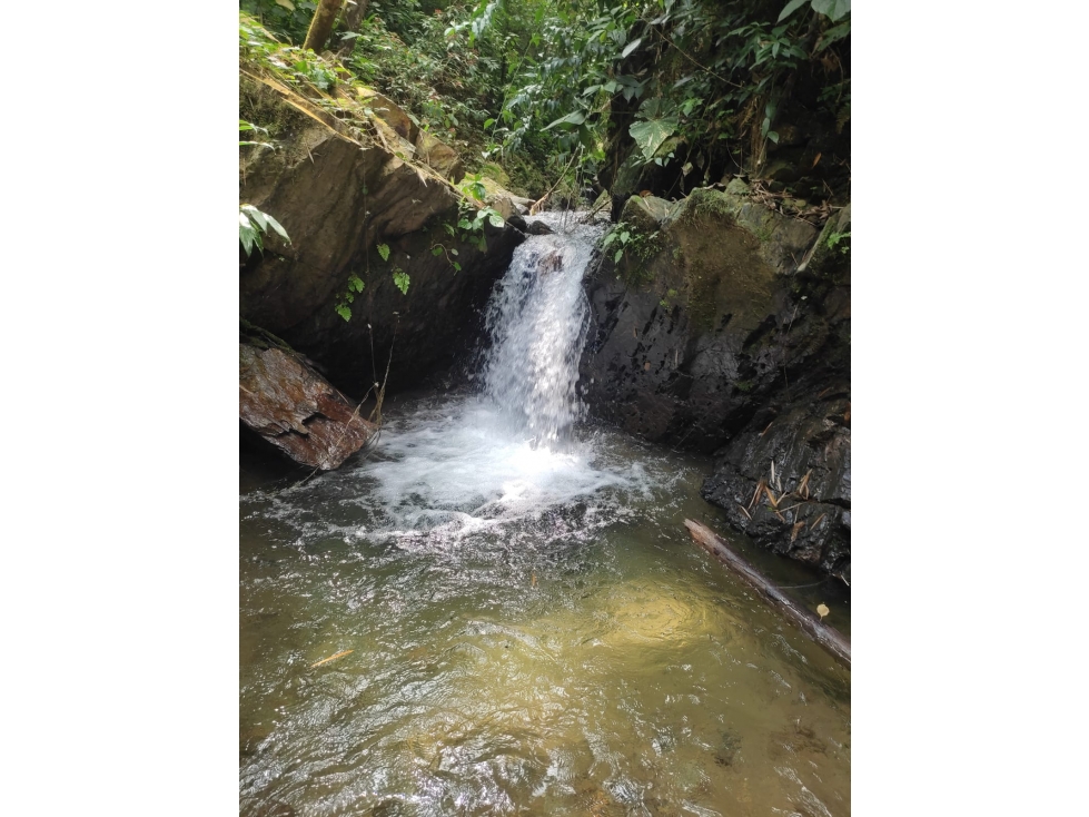 VENTA HERMOSA FINCA EN PIJAO - 2