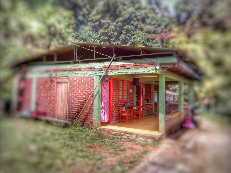 FINCA DIVERSIFICADA Y TECNIFICADA EN CAICEDONIA VALLE - 2