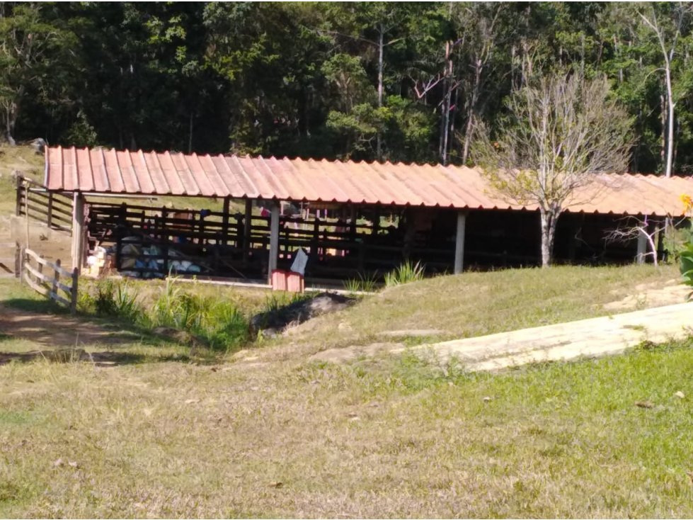 Finca Ganadera y Agrícola en Giron 4731 - 6
