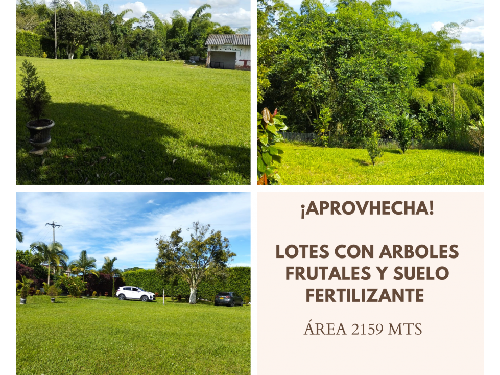 CASA PARA REMODELAR EN CONJUNTO CON ÁREA 2159 MTS.3683