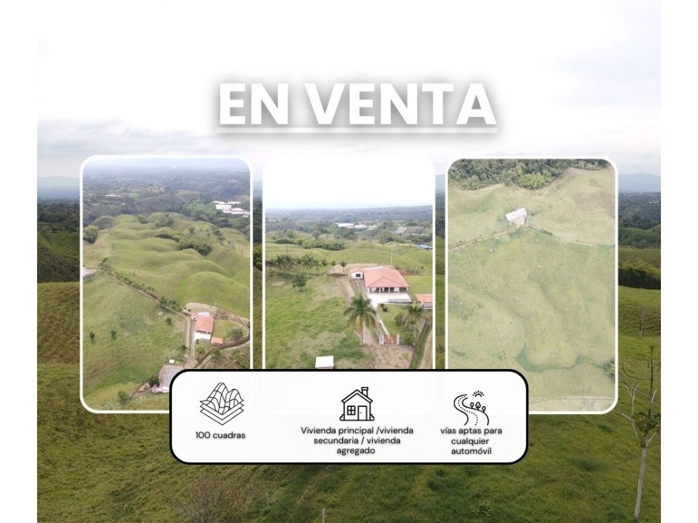 Finca productiva a 12 minutos de circasia