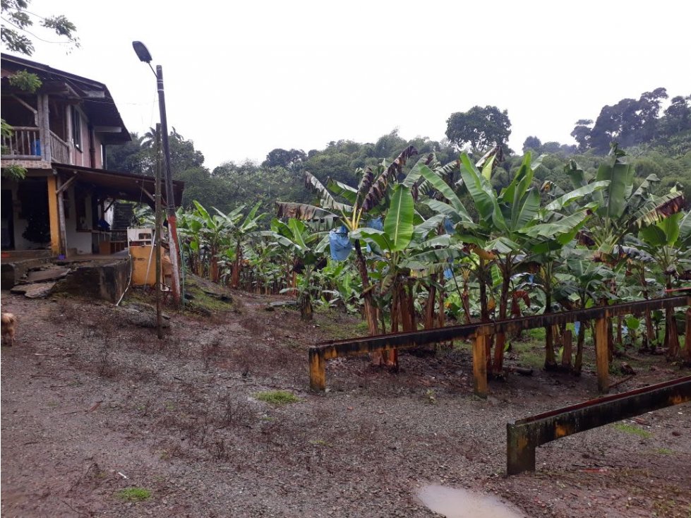 Finca en venta en Buenavista, Quindio 4357 - 4