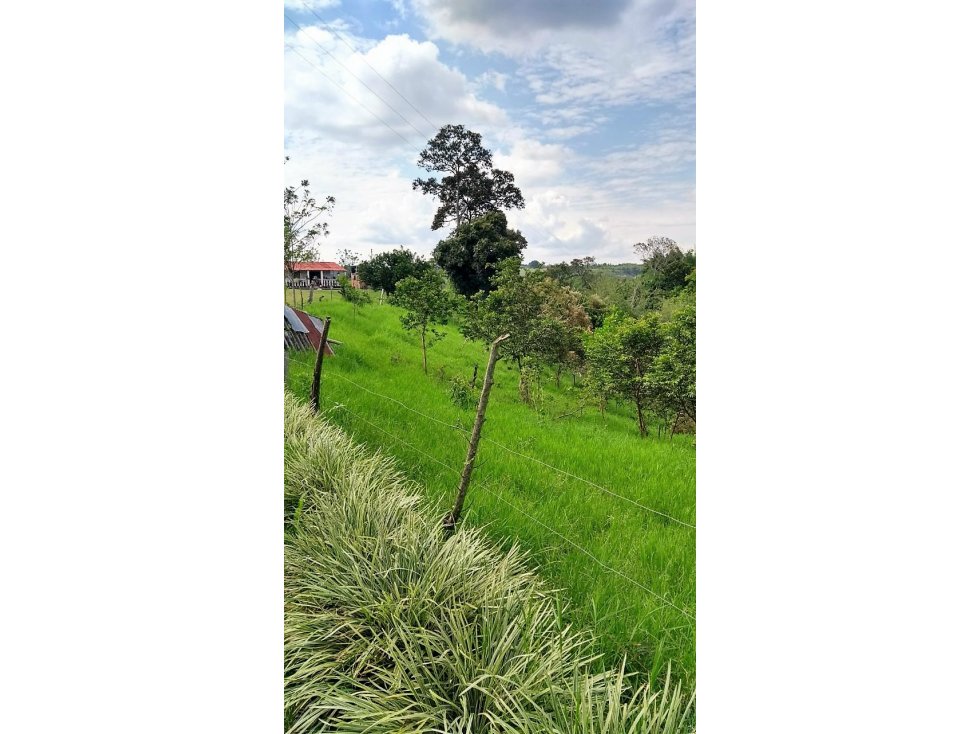 Lote en venta en la Tebaida 5418 - 1