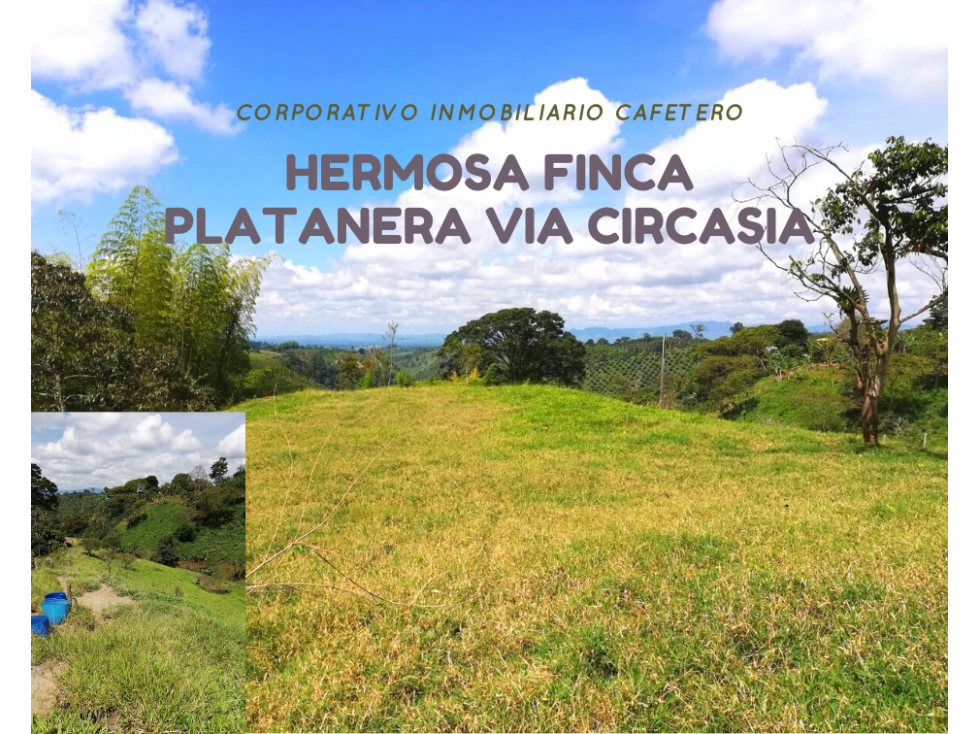 FINCA EN PASTO , SIRVE PARA PLATANO Y CAFÉ EN VENTA 4830