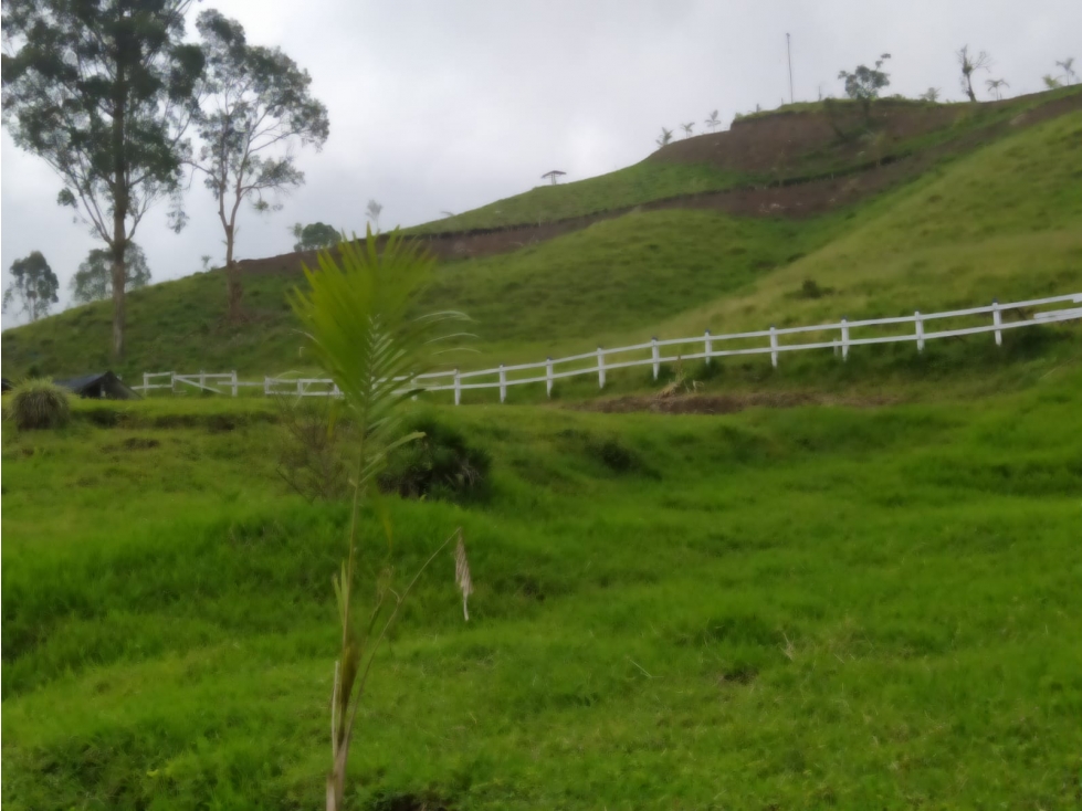 LOTE EN FILANDIA - 3