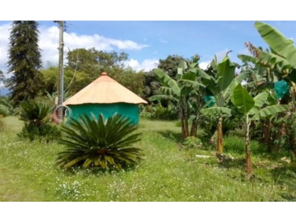 FINCA UBICADA EN CIRCASIA QUINDIO — foto 3