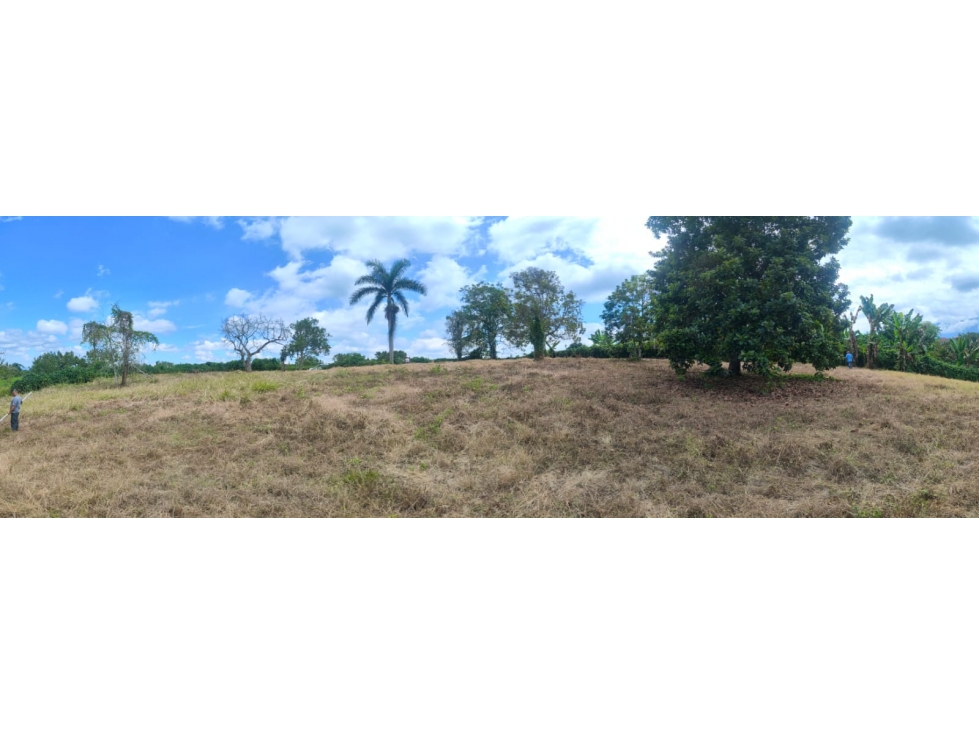 Lote Bien ubicado sector caimo / club campestre ( armenia ) - 6