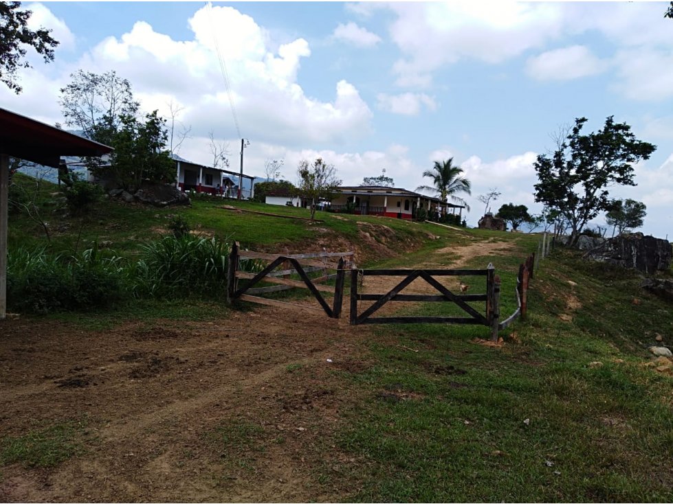 Finca Ganadera y Agrícola en Giron 4731 - 3