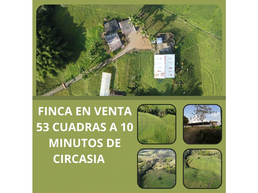 Finca productiva en venta a 10 minutos de circasia - 1