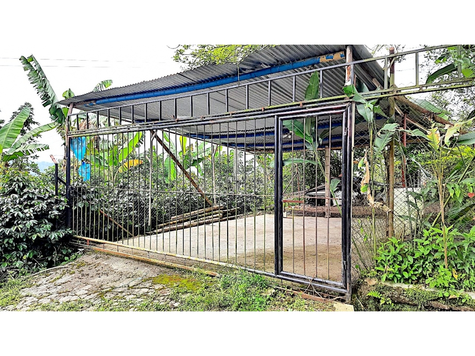 A LA VENTA FINCA PRODUCTIVA Y CAFETERA 4813 - 2