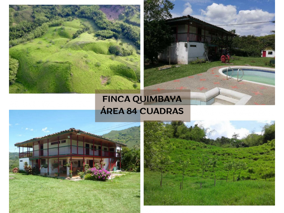FINCA EN QUIMBAYA GANADERA Y PRODUCTIVA. - 1