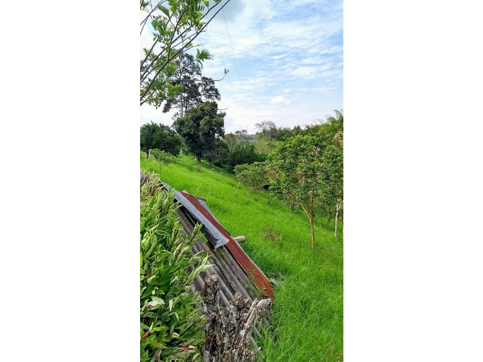 Lote en venta en la Tebaida 5418 - 3