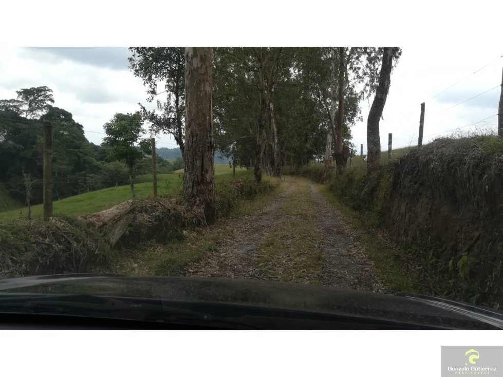 Finca Ganadera Circasia Quindio 4661