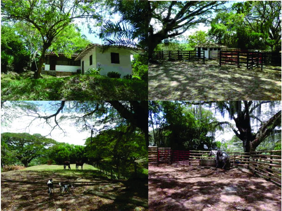 Finca Pereira-Cartago 4662 — foto 3