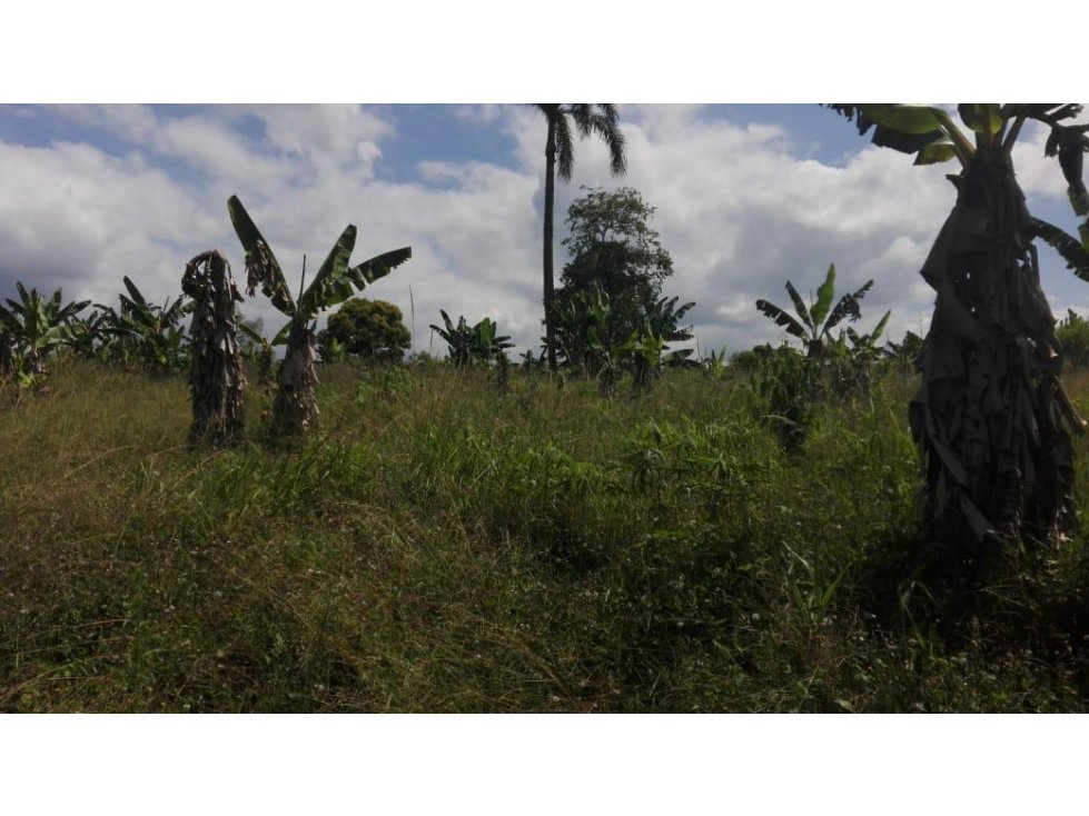 Finca en venta en Quimbaya 4667 - 3