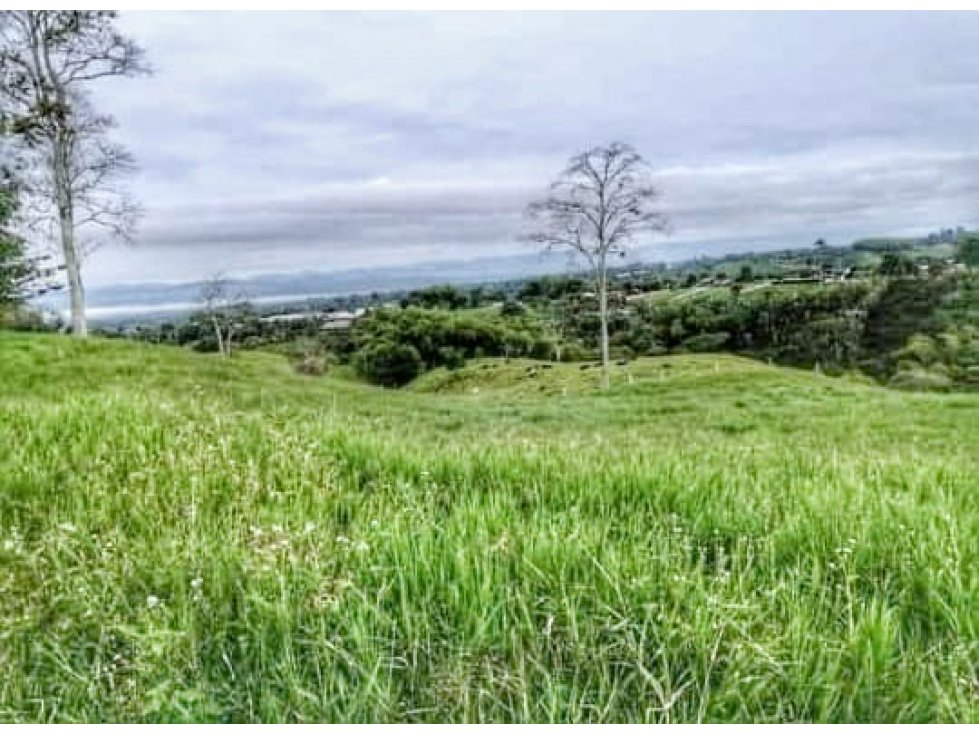 FINCA GRANDE A LA VENTA VIA CIRCASIA REF 4810 — foto 4