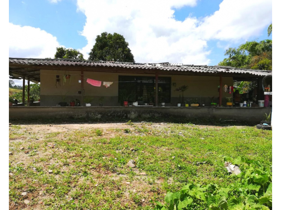 FINCA EN PASTO , SIRVE PARA PLATANO Y CAFÉ EN VENTA 4830 — foto 6