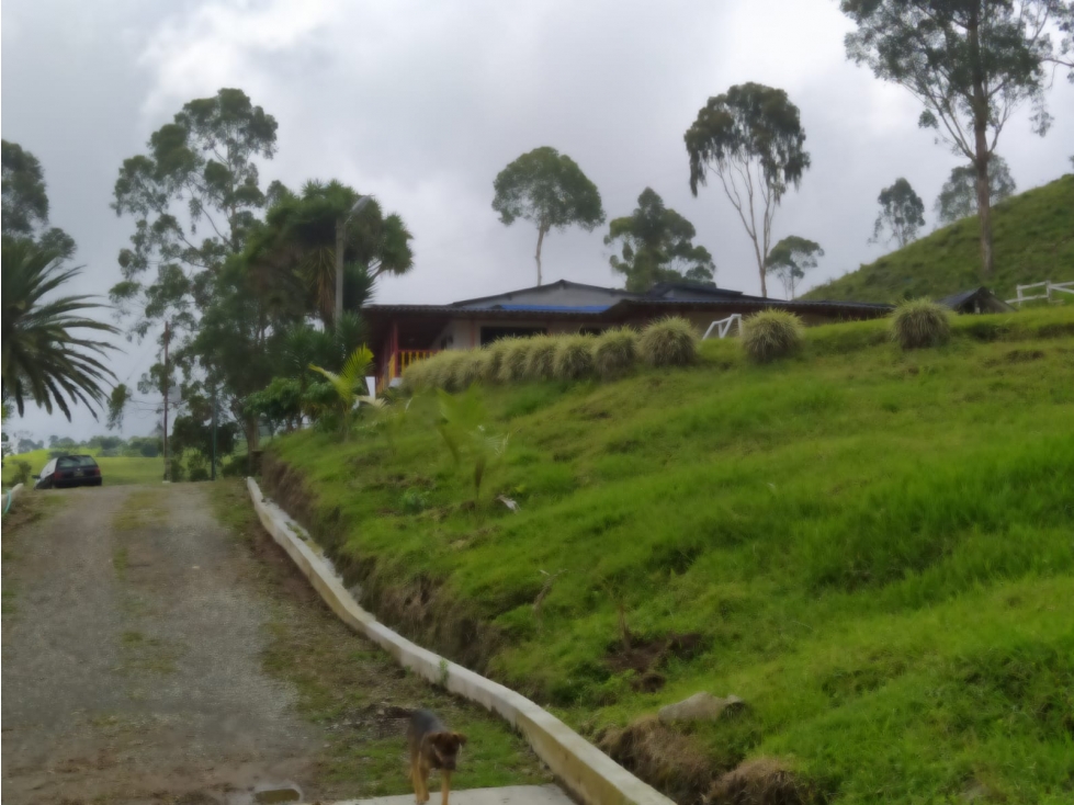 LOTE EN FILANDIA - 4
