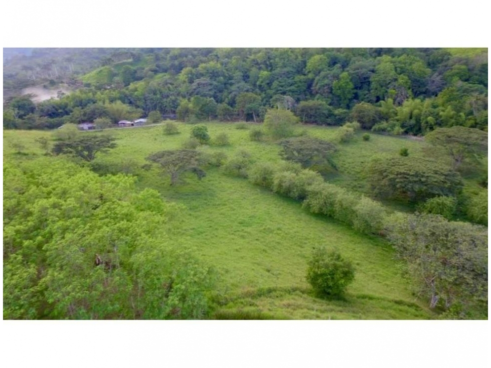 FINCA EN QUIMBAYA GANADERA Y PRODUCTIVA. - 5