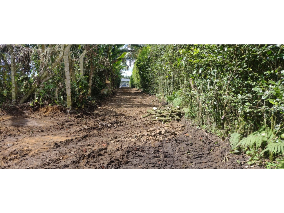 LOTE DE 3795 METROS PUEBLO TAPAO VIA TEBAIDA 5578 - 3