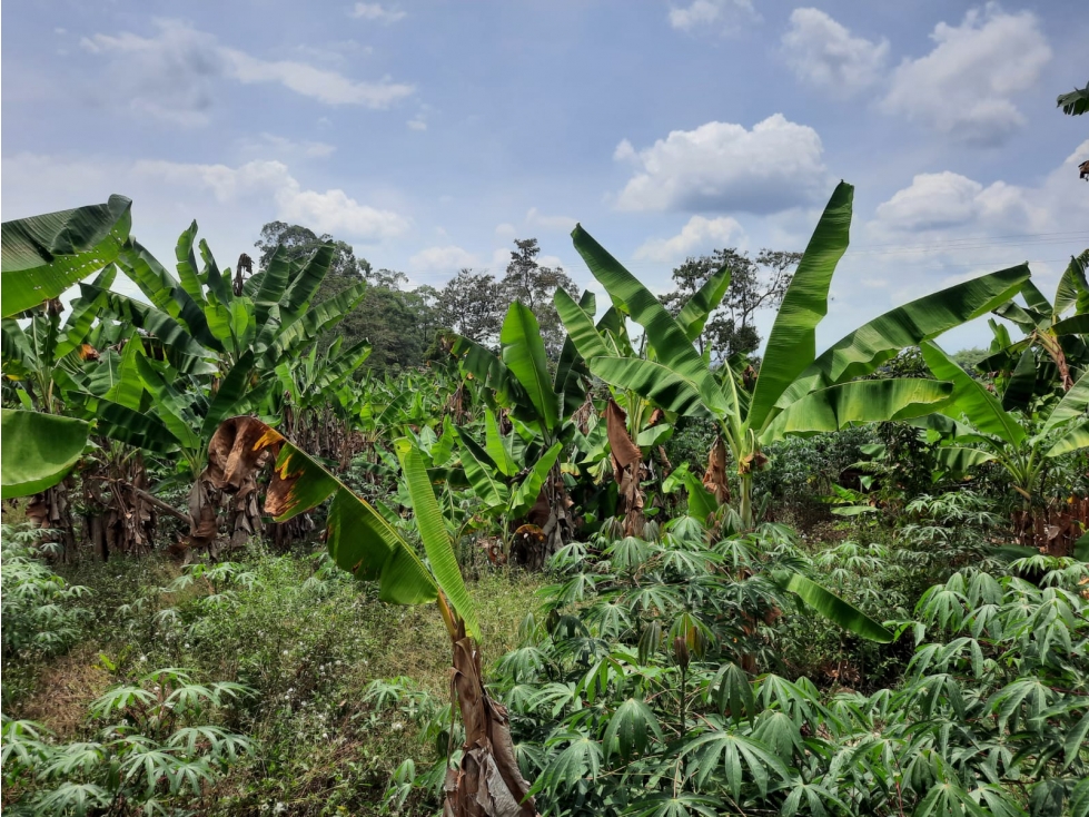 Finca con gran potencial turístico. - 6