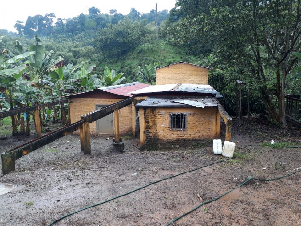 Finca en venta en Buenavista, Quindio 4357 - 5