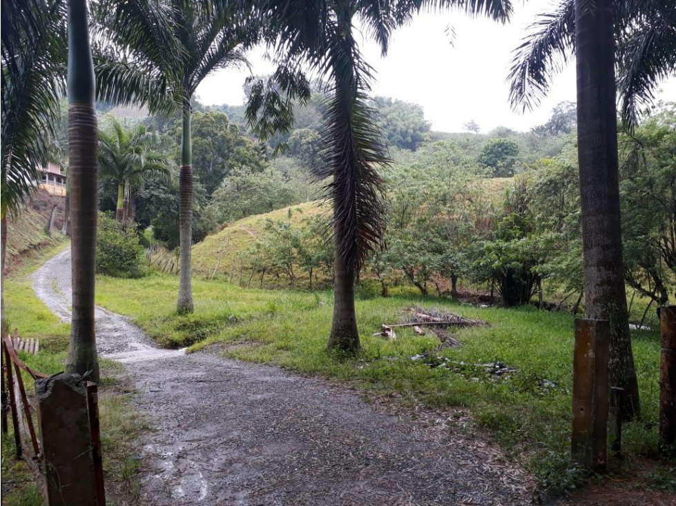 Finca en venta en Buenavista, Quindio 4357 - 6