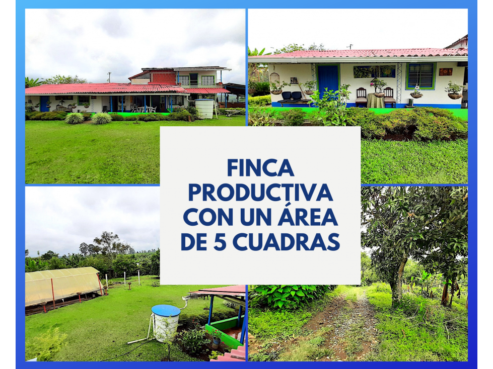 A LA VENTA FINCA PRODUCTIVA Y CAFETERA 4813 - 1