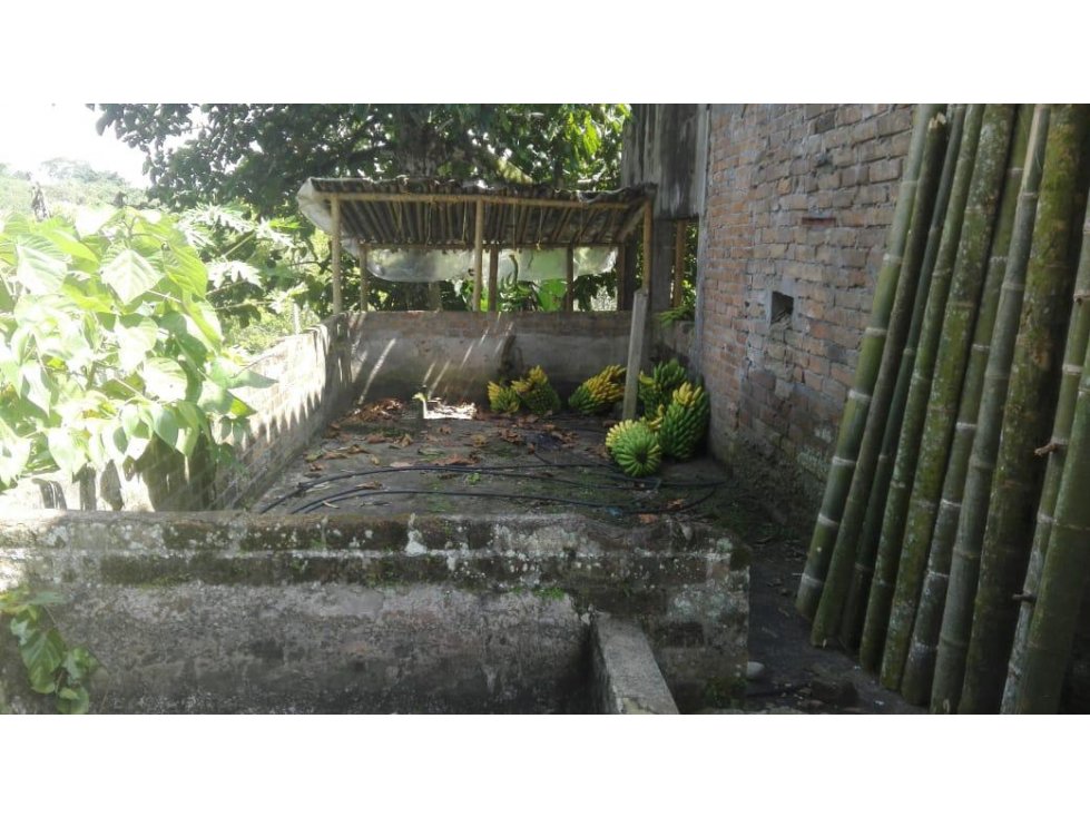Finca en venta en Quimbaya 4667 - 4