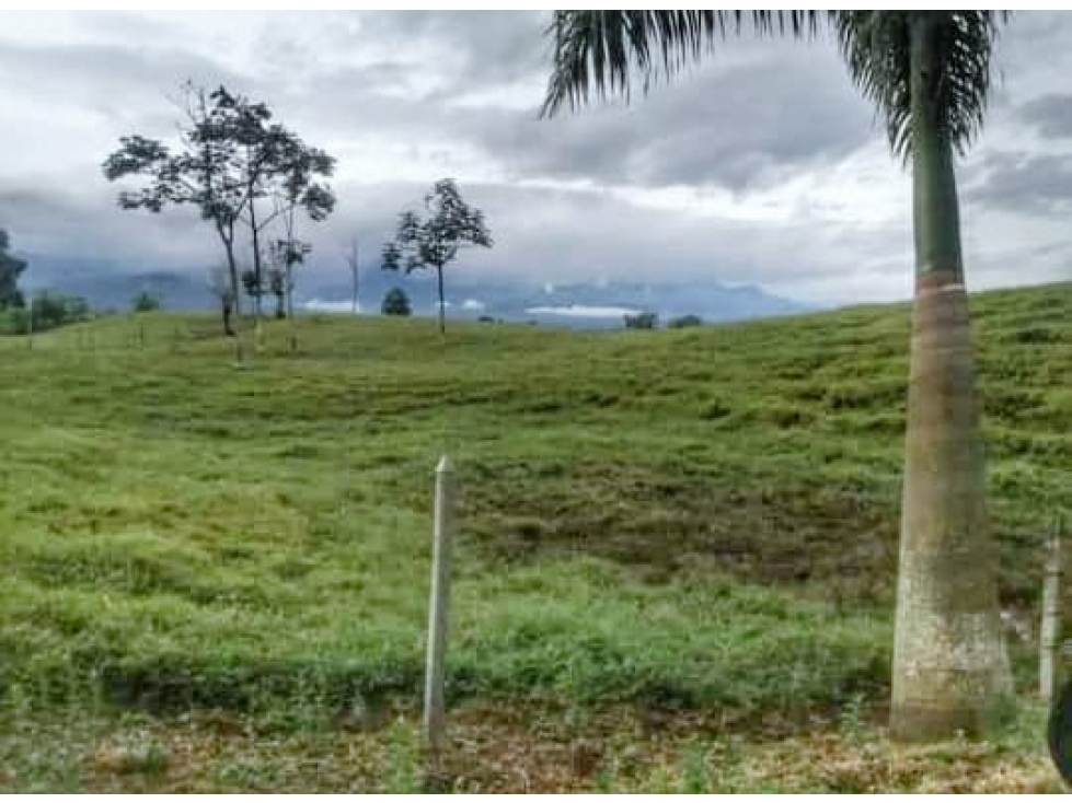 FINCA GRANDE A LA VENTA VIA CIRCASIA REF 4810 — foto 5
