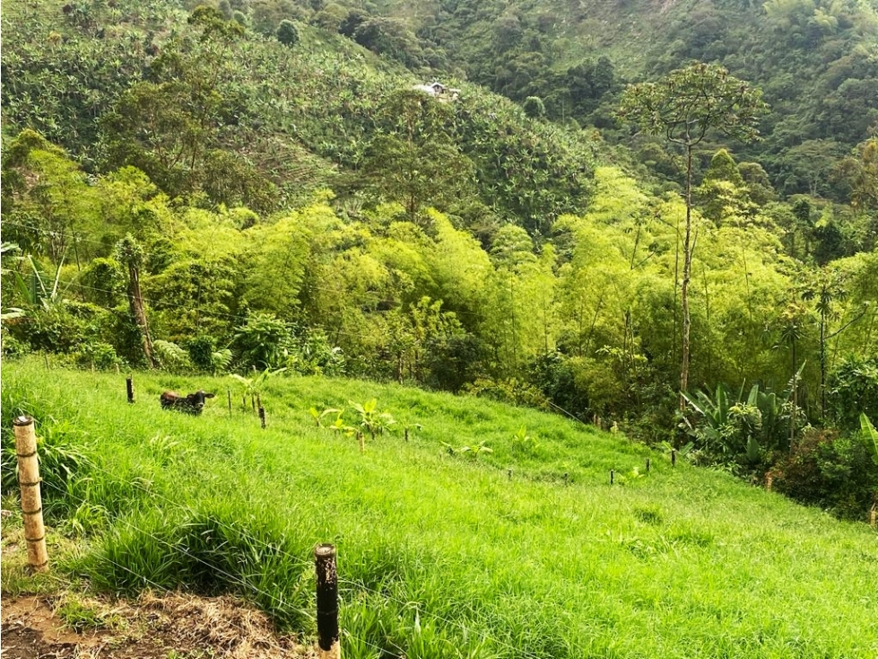 VEN- PERMUTO FINCA BUENAVISTA 4880 - 4