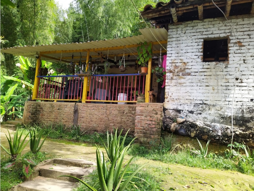 FINCA CON DIVERSIFICACION DE CULTIVOS UBICADA EN CAICEDONIA — foto 4