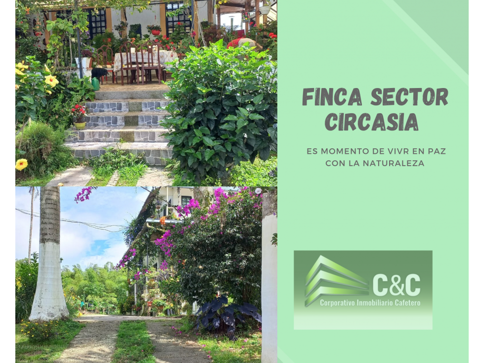 FINCA A 8 KM DE CIRCASIA 4899
