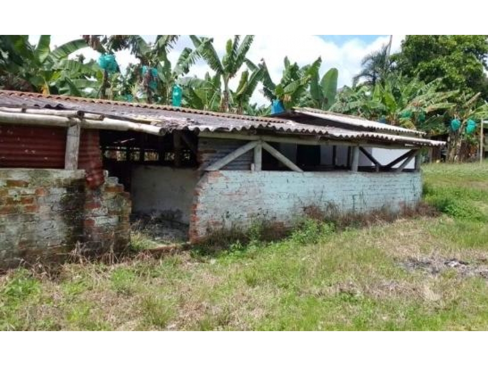 FINCA UBICADA EN CIRCASIA QUINDIO — foto 5