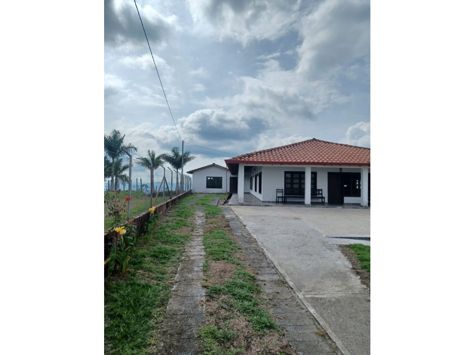 Finca productiva a 12 minutos de circasia — foto 3