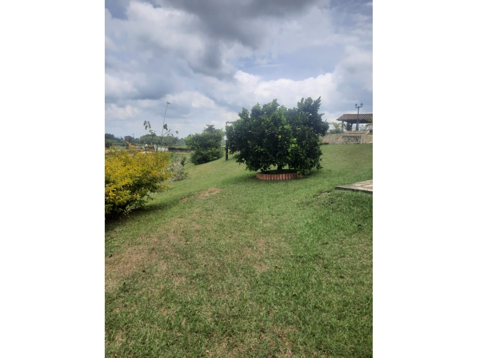 Casa campestre ubicada en circasia en venta — foto 6
