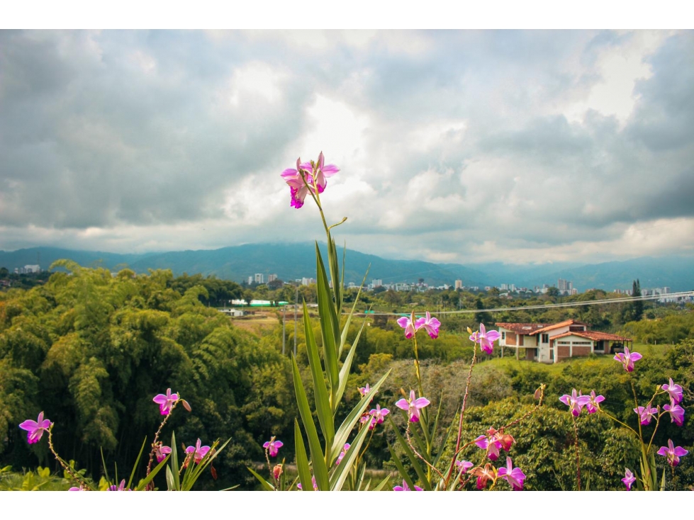 Casa campestre en venta circasia quindio — foto 6