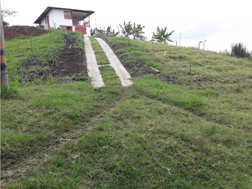 Finca venta Plátano y Cafe Circasia Quindio 4647