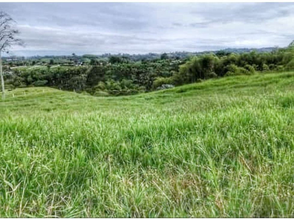 FINCA GRANDE A LA VENTA VIA CIRCASIA REF 4810 — foto 6